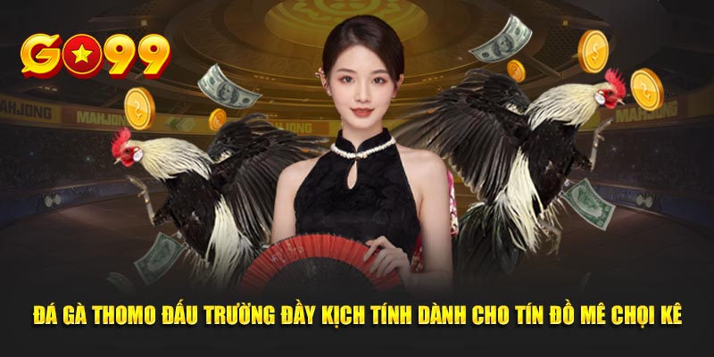 Đá gà Thomo đấu trường đầy kịch tính dành cho tín đồ mê chọi kê