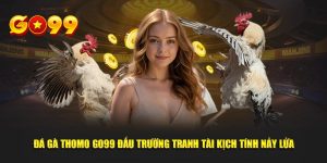 đá gà thomo tại go99