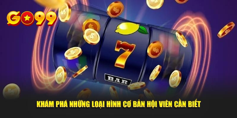 Khám phá những loại hình cơ bản hội viên cần biết