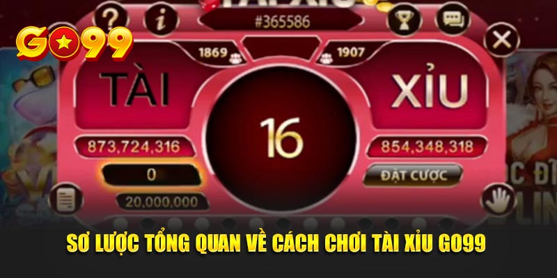 Sơ lược tổng quan về cách chơi tài xỉu GO99